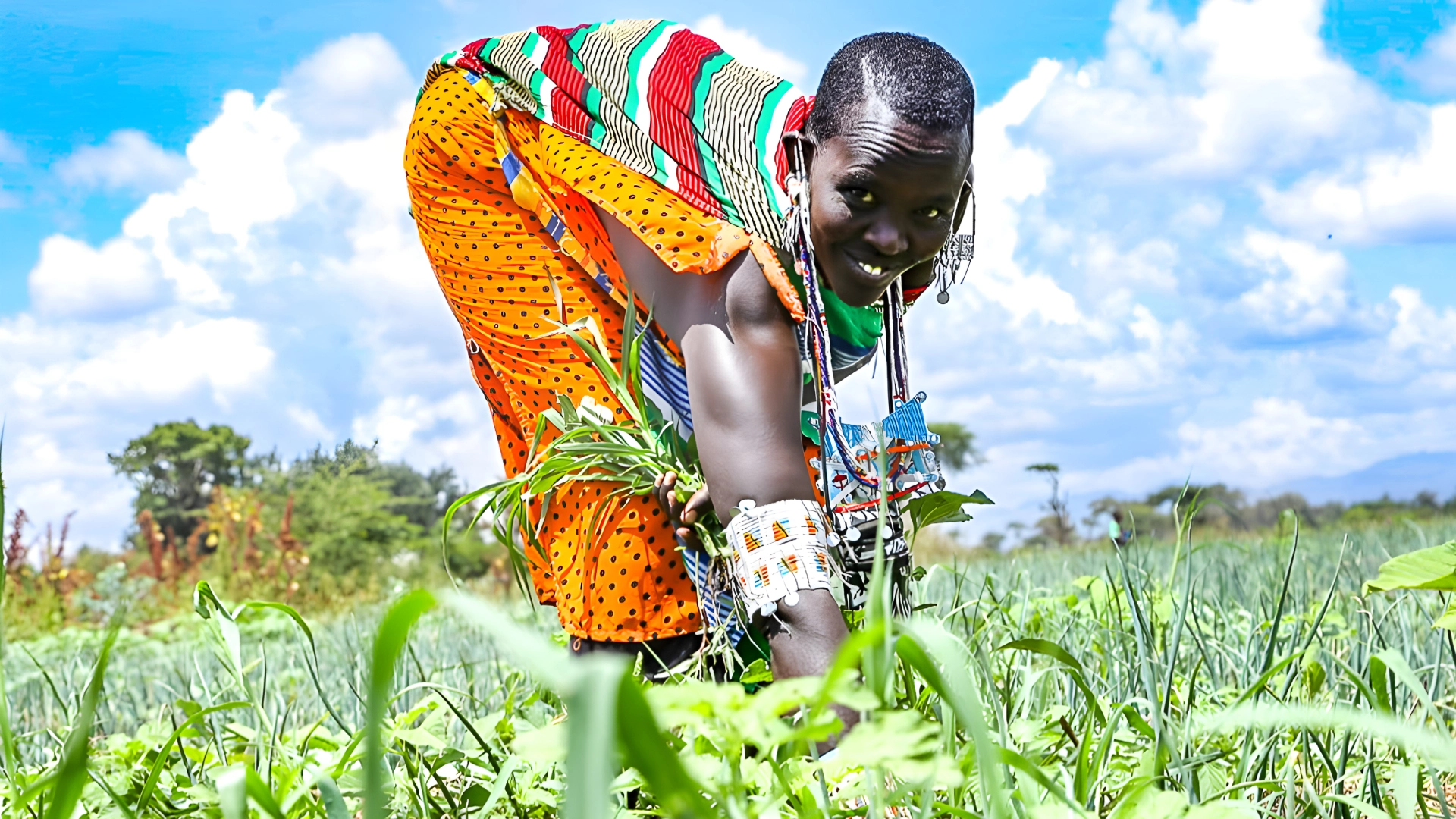 Kajiado County's Path to Investment and Growth